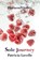 Sole Journey, Patricia Lavelle - Paperback - 9781806343911