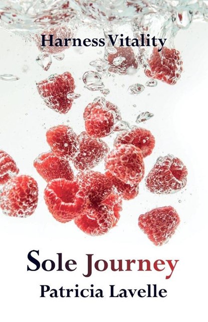 Sole Journey, Patricia Lavelle - Paperback - 9781806343911