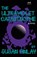 The Ultraviolet Catastrophe, Susan Finlay - Paperback - 9781806950720