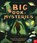 The Big Book of Mysteries, Tom Adams - Paperback - 9781807081324
