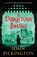 A Dangerous Justice, John Pilkington - Paperback - 9781807345976