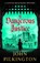 A Dangerous Justice, John Pilkington - Paperback - 9781807345983