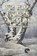The Wind Changes Direction, Andy Botterill - Gebonden - 9781835307267