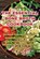 The Essential Bone Broth Cookbook, Grace Edwards - Paperback - 9781835313916