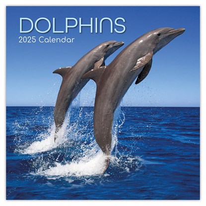 Dolphins - Delfine - Delphine 2025 - 16-Monatskalender, The Gifted Stationery Co. Ltd - Paperback - 9781835360286