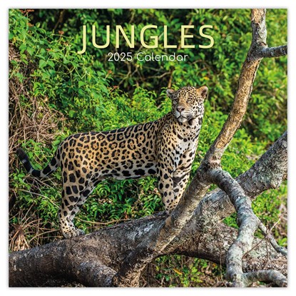 Jungles - Dschungel 2025 - 16-Monatskalender, Gifted Stationery Co. Ltd - Paperback - 9781835360958