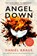 Angel Down, Daniel Kraus - Paperback - 9781835415382