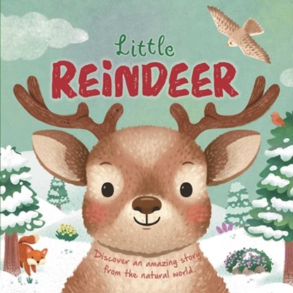 Nature Stories: Little Reindeer, Igloobooks - Gebonden - 9781835449707