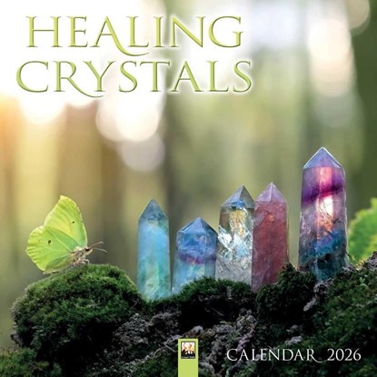Healing Crystals Wall Calendar 2026 (Art Calendar), Tree Flame - Paperback - 9781835623251