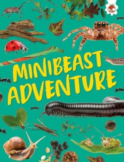 Minibeast Adventure, Emily Kington - Paperback - 9781835693568