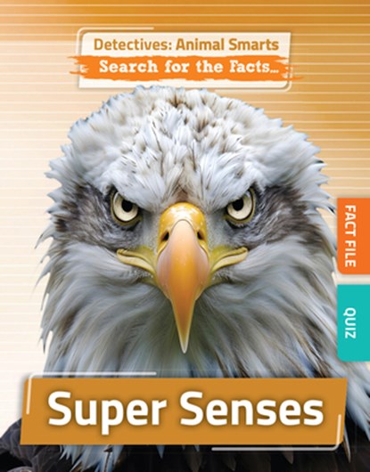 Super Senses, Anne O'Daly - Paperback - 9781835720332