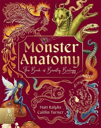Monster Anatomy, Matt Ralphs - Gebonden - 9781835870860