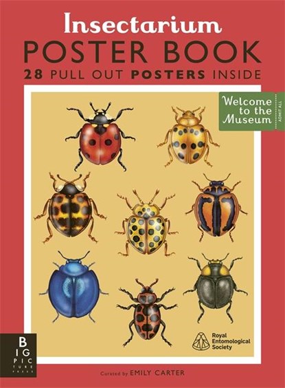 Insectarium Poster Book, Dave Goulson - Paperback - 9781835871843
