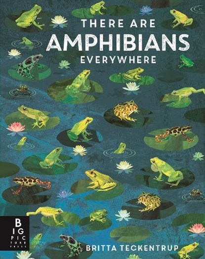 There Are Amphibians Everywhere, Camilla De La Bedoyere - Paperback - 9781835878583