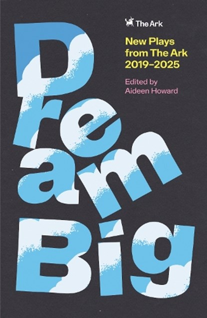 DREAM BIG, Aideen Howard - Paperback - 9781835940679