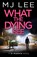 What the Dying See, M J Lee - Paperback - 9781835983119