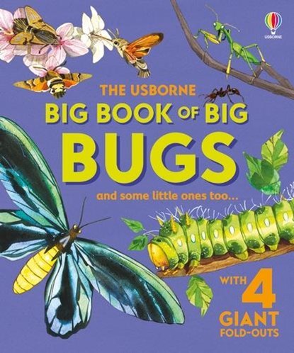Big Book of Big Bugs, Emily Bone - Gebonden - 9781836040255