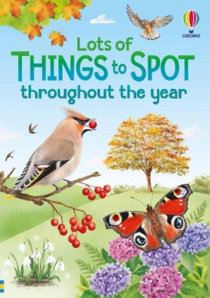 Lots of Things to Spot throughout the year, Lara Bryan ; Simon Tudhope - Paperback - 9781836042969