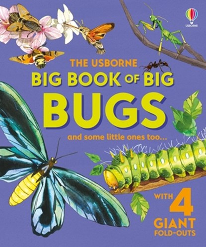 Big Book of Big Bugs, Emily Bone - Gebonden - 9781836050346