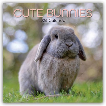 Cute Bunnies - Niedliche Kaninchen 2026 - 16-Monatskalender, Gifted Stationery Co. Ltd - Paperback - 9781836223405