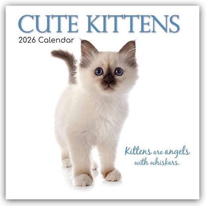 Cute Kittens - Niedliche Kätzchen 2026 - 16-Monatskalender, Gifted Stationery Co. Ltd - Paperback - 9781836223412