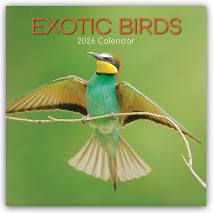 Exotic Birds - Exotische Vögel 2026 - 16-Monatskalender, Gifted Stationery Co. Ltd - Paperback - 9781836223719