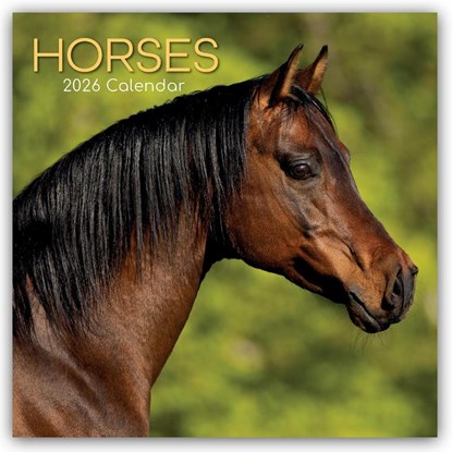 Horses - Pferde 2026 - 16-Monatskalender, Gifted Stationery Co. Ltd - Paperback - 9781836223887