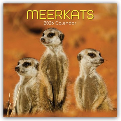 Meerkats - Erdmännchen 2026 - 16-Monatskalender, Gifted Stationery Co. Ltd - Paperback - 9781836223900