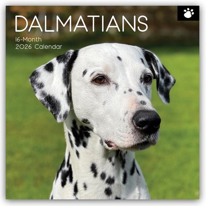 Dalmatians - Dalmatiner 2026 - 16-Monatskalender, Gifted Stationery Co. Ltd - Paperback - 9781836224198