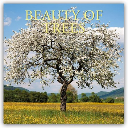 Beauty of Trees - Die Schönheit der Bäume 2026 - 16-Monatskalender, Gifted Stationery Co. Ltd - Paperback - 9781836224884