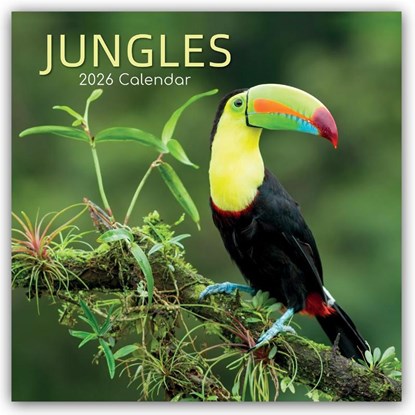 Jungles - Dschungel 2026 - 16-Monatskalender, Gifted Stationery Co. Ltd - Paperback - 9781836225829