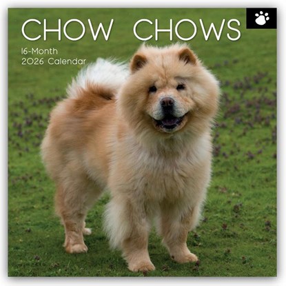 Chow Chows 2026 - 16-Monatskalender, Gifted Stationery Co. Ltd - Paperback - 9781836228592