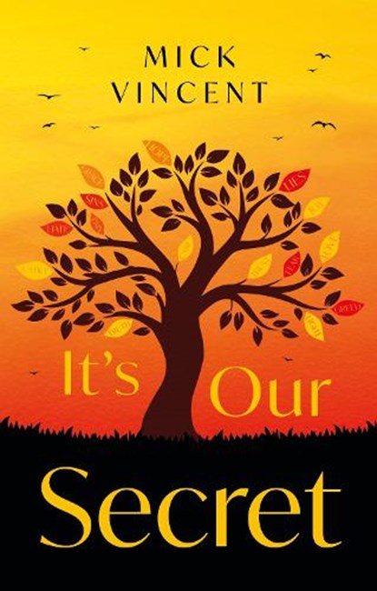 It's Our Secret, Mick Vincent - Paperback - 9781836285939