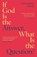 If God Is the Answer, What Is the Question?, Christopher Insole - Paperback - 9781836432159