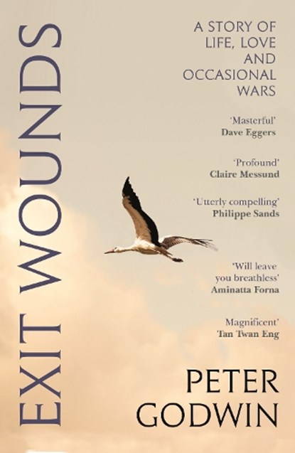 Exit Wounds, Peter Godwin - Paperback - 9781837260829
