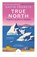 True North: Travels in Arctic Europe, Gavin Francis - Paperback - 9781837261956