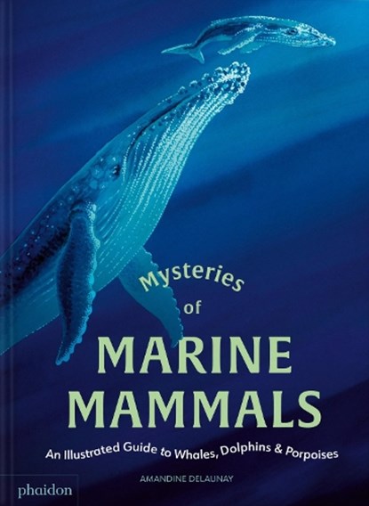 Mysteries of Marine Mammals, Amandine Delaunay - Gebonden - 9781837290208