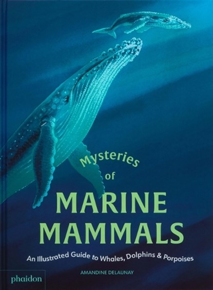 Mysteries of Marine Mammals: An Illustrated Guide to Whales, Dolphins, and Porpoises, Amandine Delaunay - Gebonden - 9781837290918