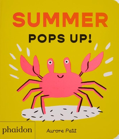 Summer Pops Up!, Aurore Petit - Gebonden - 9781837292073