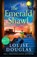 The Emerald Shawl, Louise Douglas - Gebonden - 9781837516605