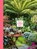 Small Garden Envy, Folko Kullmann - Gebonden - 9781837760596