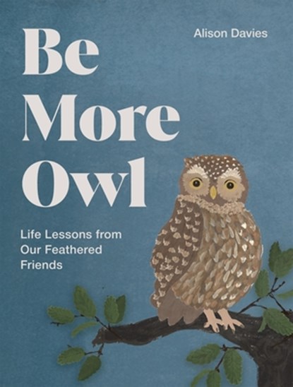 Be More Owl, Alison Davies - Gebonden - 9781837834068