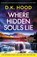 Where Hidden Souls Lie, D. K. Hood - Paperback - 9781837903887