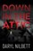 Down in the Attic, Daryl Nilbett - Paperback - 9781837919307