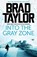 Into the Gray Zone, Brad Taylor - Paperback - 9781837933358