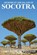 Socotra, WELLSTED,  James - Paperback - 9781838075699