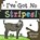 I've Got No Stripes, RYDER,  Atticus - Paperback - 9781838095680