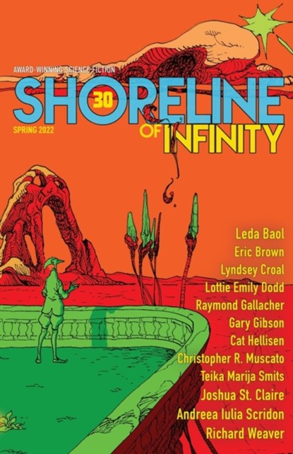 Shoreline of Infinity 30, Noel Chidwick - Paperback - 9781838126896