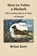 How to Value a Skylark, Brian Kerr - Paperback - 9781838152611
