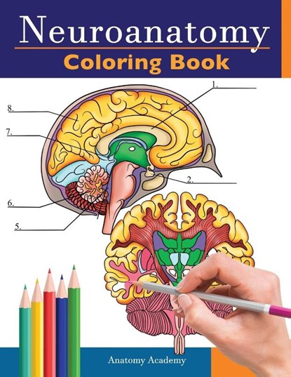 Neuroanatomy Coloring Book, Anatomy Academy - Paperback - 9781838188610